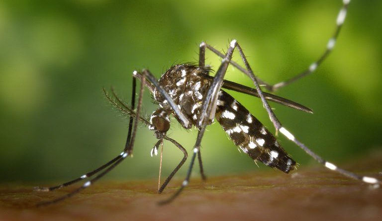 Mais R$ 974,1 mil vão ajudar Dourados a enfrentar casos de chikungunya