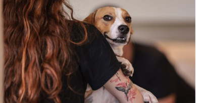 Lei que define normas para “guarda compartilhada” de pets é sancionada