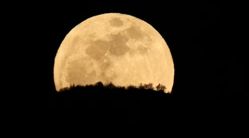 ‘Lua Rosa’ vai brilhar no céu hoje; entenda o nome e por que é conhecida assim