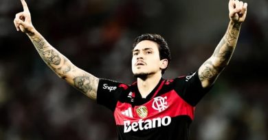 Flamengo vence Fluminense com dois golaços de Pedro e assume vice-liderança do Brasileirão