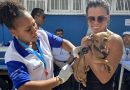 Dia D de vacinação antirrábica protege cães e gatos e reforça a saúde pública em Macaé