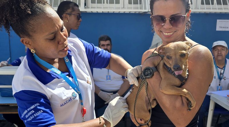 Dia D de vacinação antirrábica protege cães e gatos e reforça a saúde pública em Macaé