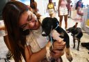 Com histórias marcadas pelo amor aos animais, casais adotam novos pets em Campanha de Adoção em Nova Iguaçu