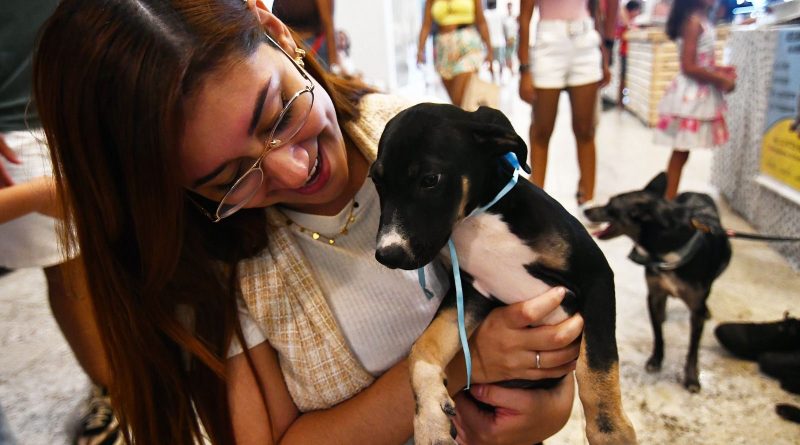 Com histórias marcadas pelo amor aos animais, casais adotam novos pets em Campanha de Adoção em Nova Iguaçu