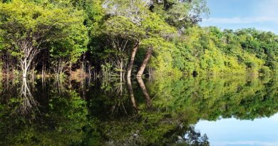 Concurso Dom Phillips e Bruno Pereira é uma resposta de reparação e defesa da Amazônia