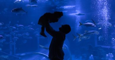 AquaRio amplia oferta de lazer no feriado de 1º de maio, no Rio