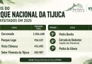 Com mais investimentos, Parque Nacional da Tijuca chega a quase 5 milhões de visitantes e bate recorde em 2025