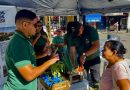 Japeri promove programação especial durante a Semana do Meio Ambiente 