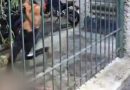 Homens ficam feridos em briga entre torcedores após clássico entre Vasco e Flamengo