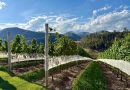 Teresópolis fortalece protagonismo no enoturismo e apresenta sua Rota dos Vinhos a grandes líderes do trade turístico fluminense