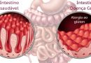 Intestino, inflamação e peso: como a doença celíaca pode impactar a saúde metabólica