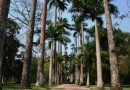 Semana do Meio Ambiente no Jardim Botânico do Rio destaca o papel da ciência diante das crises socioambientais