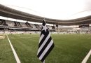 Botafogo tem novo diretor geral da SAF no lugar de Durcesio