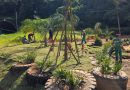 Prefeitura de Petrópolis transforma antigo ponto de descarte irregular em espaço revitalizado e florido