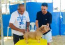 Belford Roxo &nbsp;promove grande ação de imunização contra Influenza, Covid-19 e vacinação antirrábica em São Bernardo neste sábado
