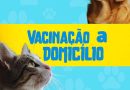 Prefeitura de Búzios oferece vacinação antirrábica domiciliar para tutores com mais de cinco animais