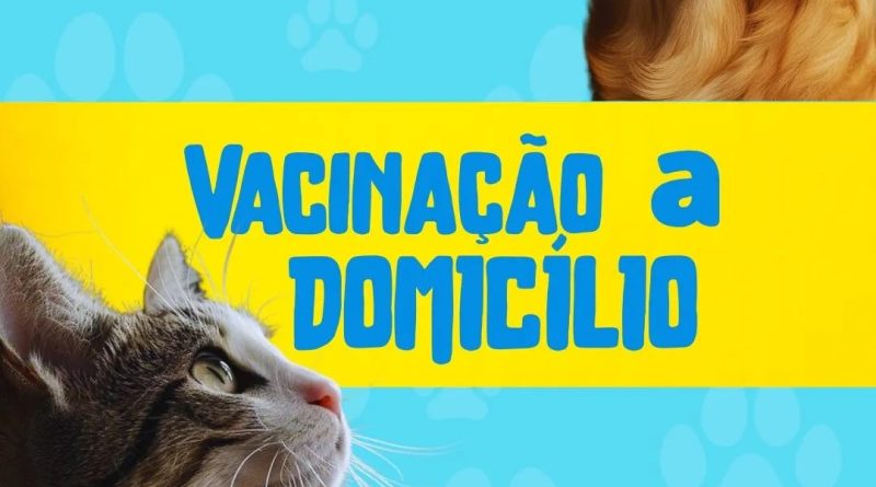 Prefeitura de Búzios oferece vacinação antirrábica domiciliar para tutores com mais de cinco animais