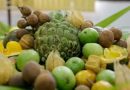 Governo do Brasil lança edital de R$ 50 milhões para fortalecer agricultores familiares
