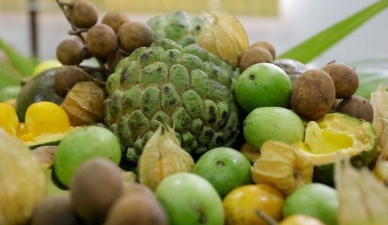 Governo do Brasil lança edital de R$ 50 milhões para fortalecer agricultores familiares