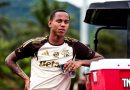 Flamengo conta com Wallace Yan para a temporada: ‘Pode ser solução’