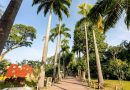 Mães pagam meia-entrada no BioParque do Rio em celebração ao Dia das Mães