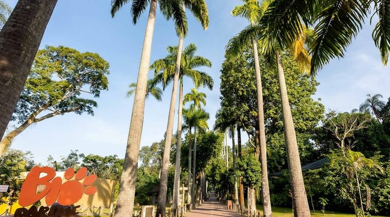 Mães pagam meia-entrada no BioParque do Rio em celebração ao Dia das Mães
