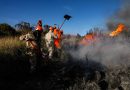 Corpo de Bombeiros alerta para aumento do risco de fogo em vegetação na época da estiagem
