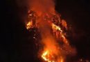 Incêndio de grande proporção destrói carros alegóricos e devasta vegetação em Nova Friburgo