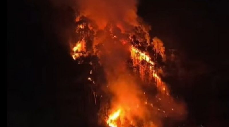 Incêndio de grande proporção destrói carros alegóricos e devasta vegetação em Nova Friburgo
