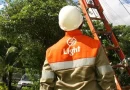 Operação conjunta entre Light e Polícia Civil impede comercialização ilegal de cobre retirado da rede elétrica
