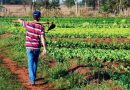 Plano Safra da Agricultura Familiar alcança resultados históricos e consolida fortalecimento