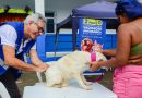 Mutirão em Belford Roxo vacina mais  de 600 animais e reforça combate à dengue