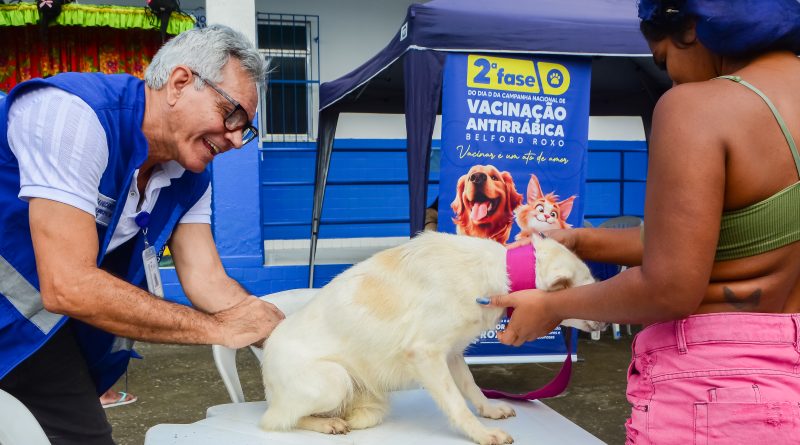 Mutirão em Belford Roxo vacina mais  de 600 animais e reforça combate à dengue