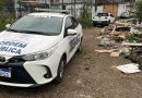 Ação conjunta em Volta Redonda resgata nove animais vítimas de maus-tratos