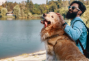 Turismo lança pesquisa para mapear mercado pet friendly e orientar setor e turistas