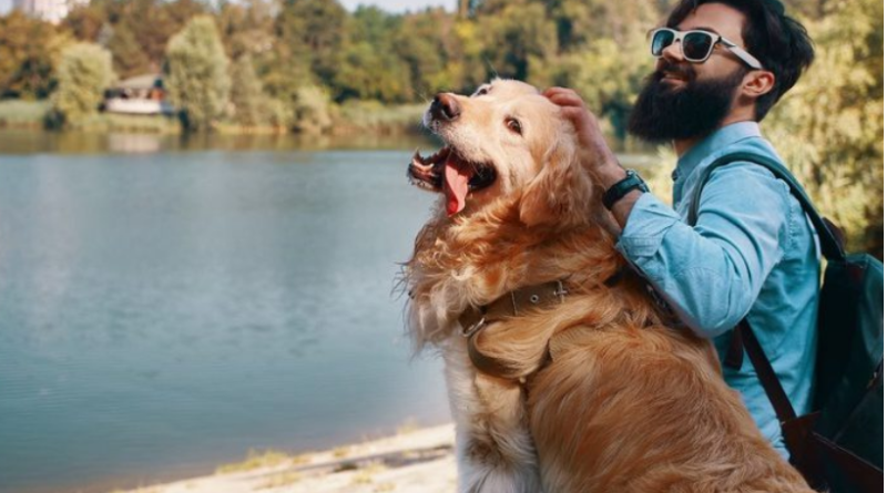 Turismo lança pesquisa para mapear mercado pet friendly e orientar setor e turistas
