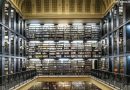 Biblioteca Nacional lança edital para ajudar autores brasileiros a publicar no exterior