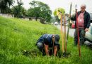 Itaboraí: Disque Árvore realiza primeiro plantio solicitado por moradores no bairro Sossego