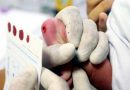 Hospital Iguassú realiza mais de 4,5 mil testes do pezinho e reforça importância do exame neonatal