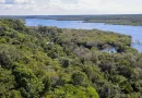Programa Florestas do Amanhã inicia nova etapa com investimento de R$ 39,5 milhões para recuperação ambiental