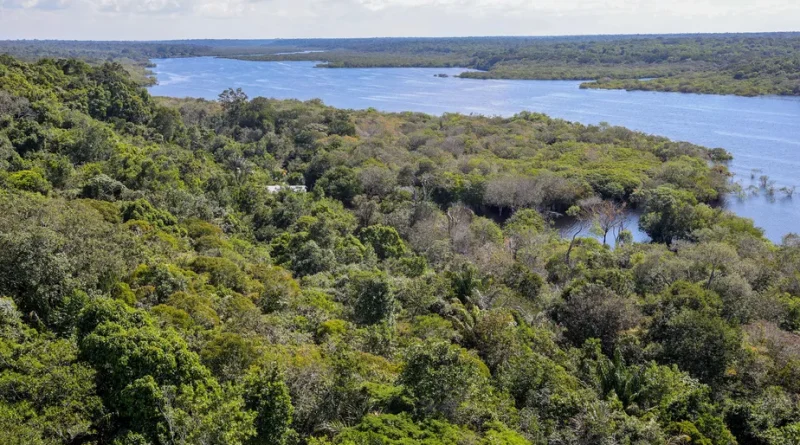 Programa Florestas do Amanhã inicia nova etapa com investimento de R$ 39,5 milhões para recuperação ambiental
