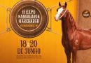 Paracambi recebe a 2ª Exposição de Mangalarga Marchador entre os dias 18 e 20 de junho