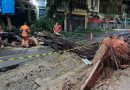 Fortes chuvas provocam quedas de árvores no Rio