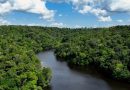 No Dia Mundial do Meio Ambiente, Governo do Brasil ressalta avanços conquistados pelo país desde 2023