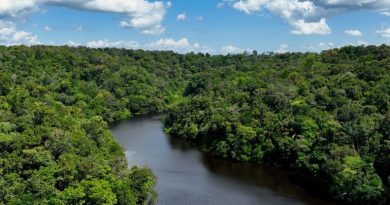 No Dia Mundial do Meio Ambiente, Governo do Brasil ressalta avanços conquistados pelo país desde 2023