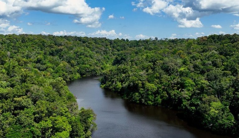 No Dia Mundial do Meio Ambiente, Governo do Brasil ressalta avanços conquistados pelo país desde 2023
