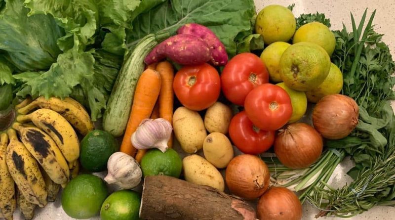 Governo do Estado projeta economia de até 20% nos custos administrativos da Secretaria de Agricultura