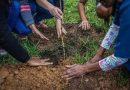 Secretaria de Meio Ambiente de Volta Redonda promove plantio de árvores frutíferas com moradores no Cras Belo Horizonte