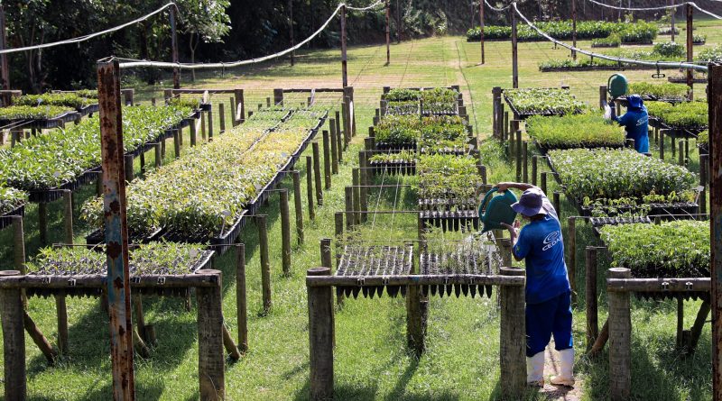Programa socioambiental da Cedae disputa premiação internacional de sustentabilidade