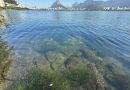 Ecoturismo na Lagoa Rodrigo de Freitas: guias de turismo estudam novos roteiros após revitalização ambiental e retorno de capivaras e aves exóticas&nbsp;